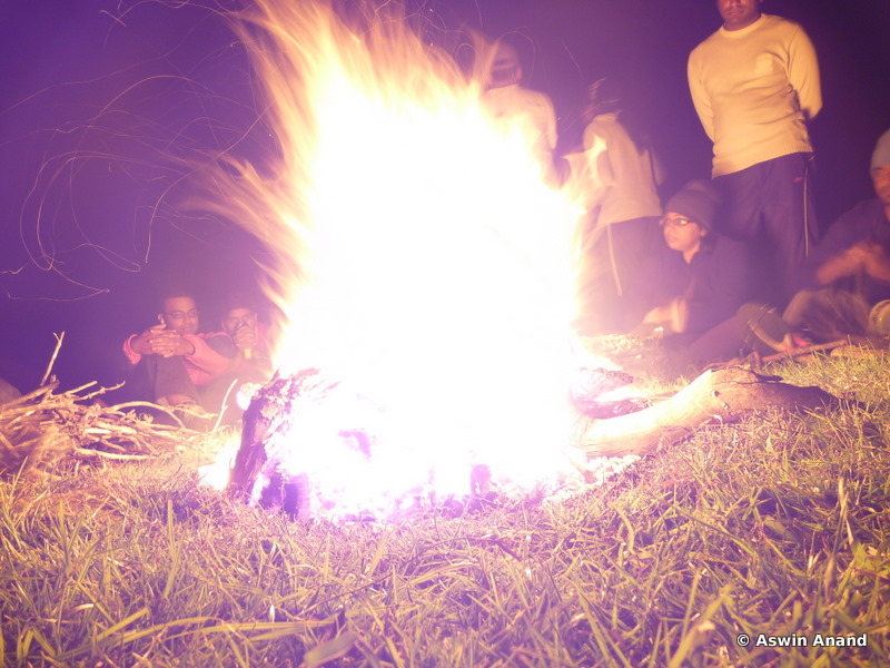 Campfire :D Roaring ain't it?