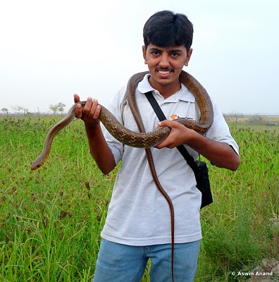 Rat Snake and Me :D